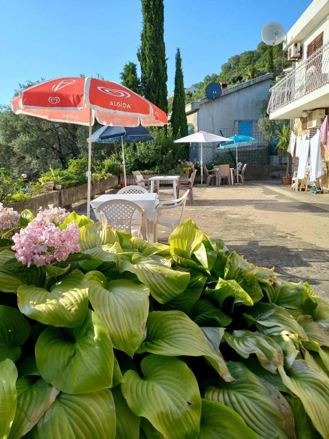 Apartments Andjus Свети-Стефан Экстерьер фото